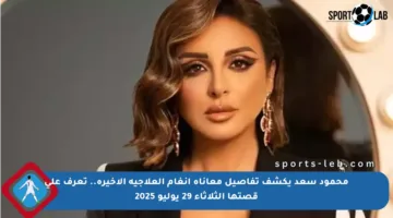محمود سعد يكشف تفاصيل معاناة أنغام العلاجية الأخيرة.. تعرف على قصتها الثلاثاء 29 يوليو 2025